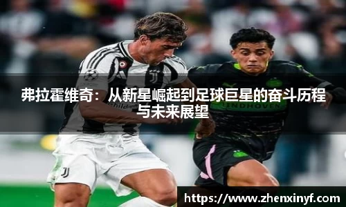 韦德体育官网