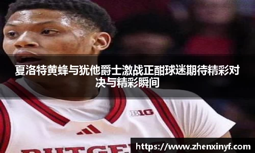 夏洛特黄蜂与犹他爵士激战正酣球迷期待精彩对决与精彩瞬间